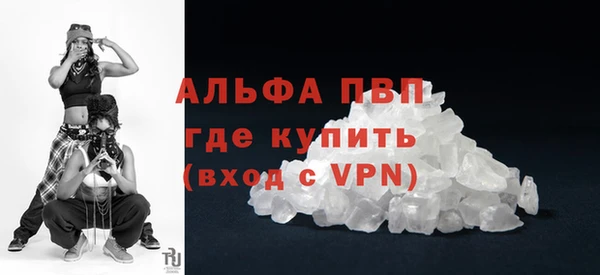 прущие грибы Нязепетровск