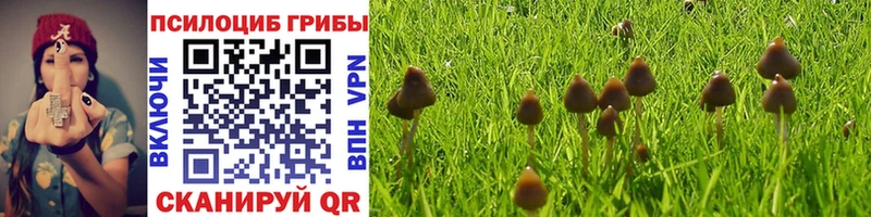 Псилоцибиновые грибы мухоморы  Почеп 